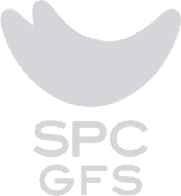 SPC GFS