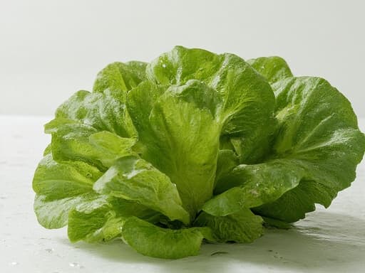 미니멀 화이트 스튜디오 - 무료 다운로드 가능한 스튜디오