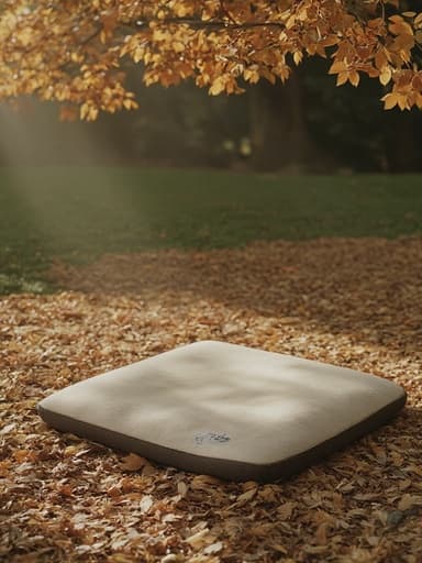 自然公園 - 무료 다운로드 가능한 自然