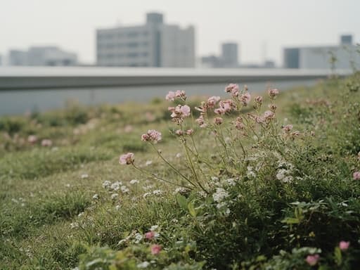 Rooftop garden - 무료 다운로드 가능한 Urban setting