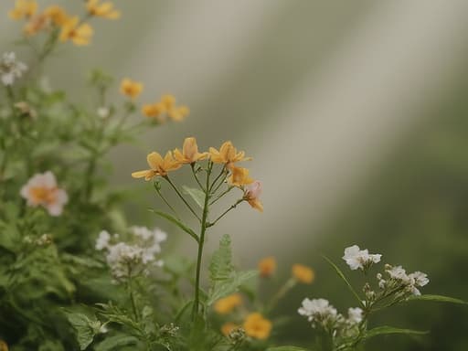 Garden - 무료 다운로드 가능한 Nature