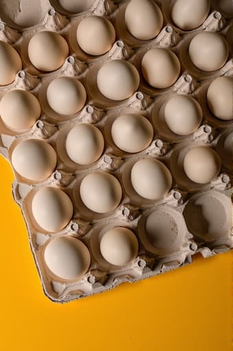 밝은 노란색 표면 위에 놓인 깨끗한 흰색 달걀, 달걀의 매끄러운 질감과 유기적 매력을 강조하는 강렬한 시각적 대비를 만들어냅니다. 경쾌한 색조는 신선함과 단순함을 느끼게 합니다.