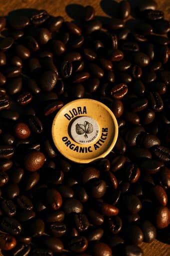 Cozy café - 무료 다운로드 가능한 Café