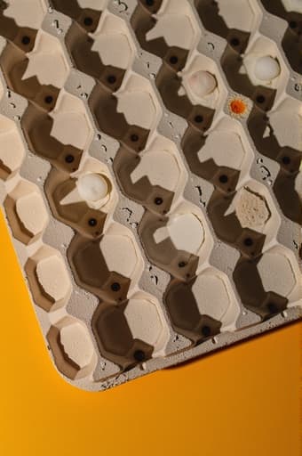 밝은 노란색 표면 위에 놓인 하나의 흰색 계란, 부드러운 껍질과 신선한 모습을 드러냅니다. 조명이 계란의 질감을 강조하여 깔끔하고 매력적인 느낌을 줍니다.