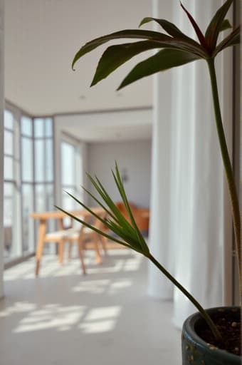 밝은 방 - 무료 다운로드 가능한 실내