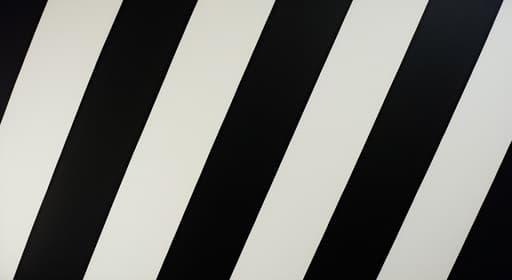 세련된 인테리어 방이 검은색과 흰색 줄무늬 벽지가 있는 한 벽을 특징으로 하고 있습니다. 방은 현대적인 가구로 꾸며져 있으며, 세련된 소파와 스타일리시한 커피 테이블이 배치되어 있습니다. 신선한 꽃이 담긴 꽃병과 액자에 담긴 예술 작품과 같은 장식 요소가 고급스러운 분위기를 더합니다. 부드러운 조명이 따뜻하고 아늑한 분위기를 만듭니다.