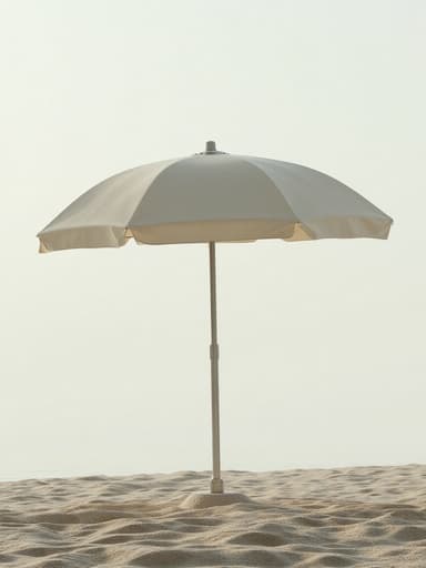 Misty Beach Morning - 무료 다운로드 가능한 Nature Scenery