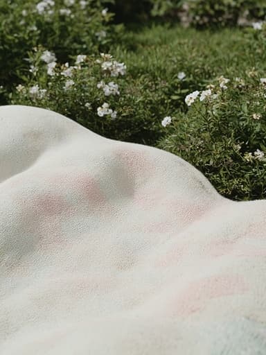 꽃이 만발한 정원 - 무료 다운로드 가능한 자연