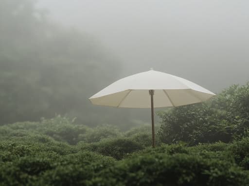 庭園 - 무료 다운로드 가능한 自然